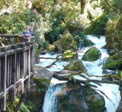  Profile Photos of Fiordland Tours 208 Milford Road, Te Anau, New Zealand - Photo 5 of 12