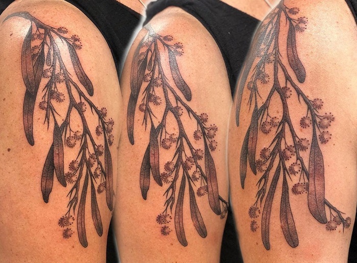  Sunshine Coast Tattoo Shops of Sunshine Coast Tattoo Shops Chaplin Pl - Photo 4 of 4