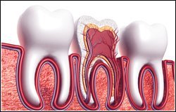 Smile Corner Dental of Smile Corner Dental 224 Centennial Rd, Unit B-7B - Photo 3 of 6