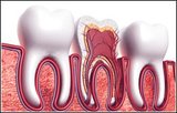 Smile Corner Dental, Orangeville