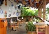  Mugs Grill and Bar on Missouri - FL 1250 South Missouri Ave  