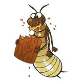  Bug Pro, L.L.C. 109 N Bailey St 
