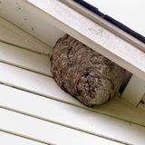  Bug Pro, L.L.C. 109 N Bailey St 