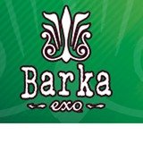 Barka saket, New Delhi