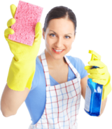 Good Cleaners Finder, Steinhausen