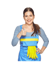 Good Cleaners Finder, Steinhausen