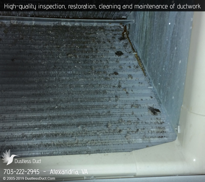  New Album of Dustless Duct 6 E Nelson Ave - Photo 7 of 14