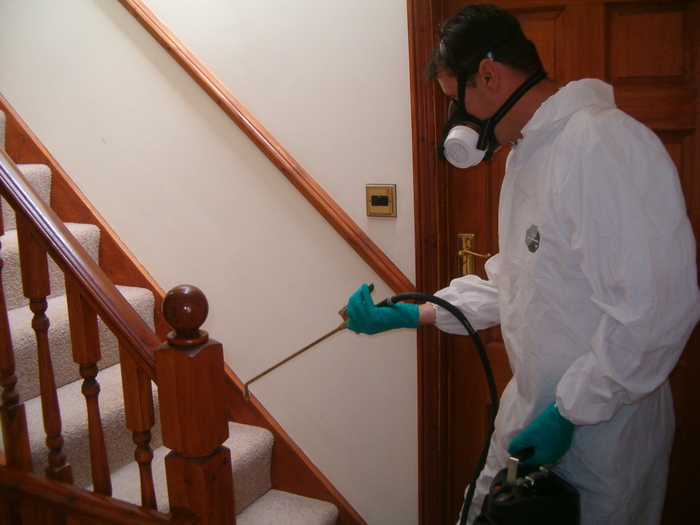 New Album of Pro Pest Control Sydney 17/9 Castlereagh St - Photo 22 of 22