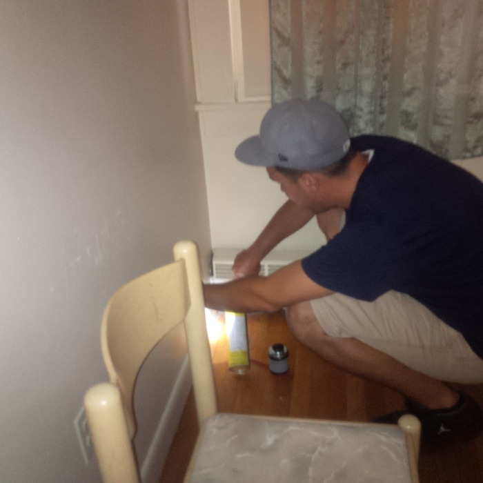  New Album of Pro Pest Control Sydney 17/9 Castlereagh St - Photo 21 of 22