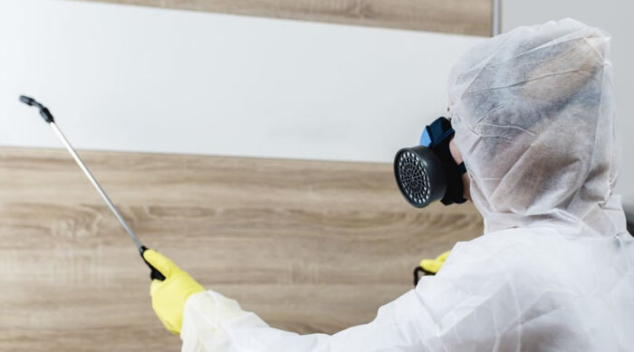  New Album of Pro Pest Control Sydney 17/9 Castlereagh St - Photo 17 of 22