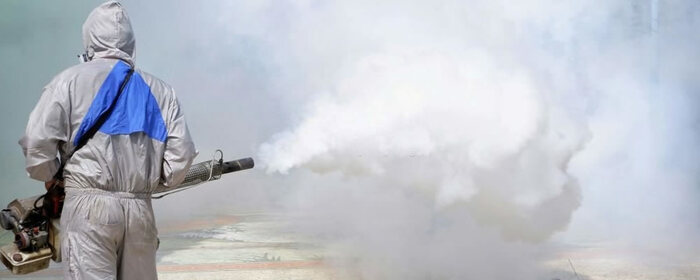  New Album of Pro Pest Control Sydney 17/9 Castlereagh St - Photo 1 of 22