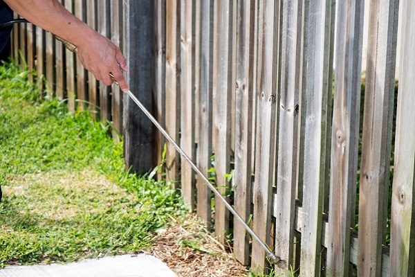  New Album of Pro Pest Control Sydney 17/9 Castlereagh St - Photo 9 of 22