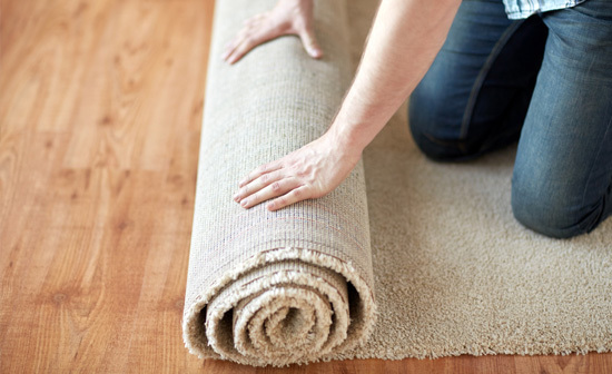  Profile Photos of Carpet And Upholstery Cleaner Westchester 177 Main St - Photo 1 of 9