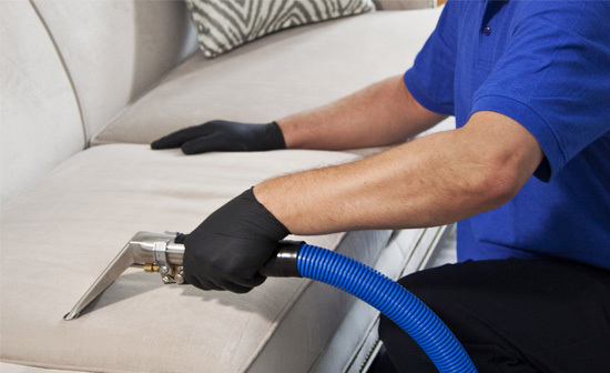  Profile Photos of Carpet And Upholstery Cleaner Westchester 177 Main St - Photo 8 of 9