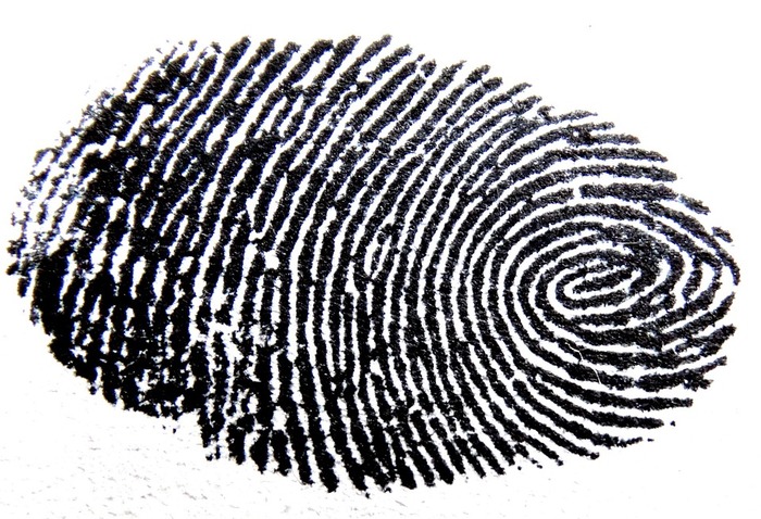  New Album of Tri-State Fingerprinting 3210 Jefferson Ave, Ste 25 - Photo 4 of 4