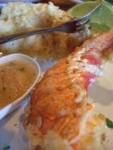  Rumba Island Bar & Grill - Oldsmar, FL 3687 Tampa Road 