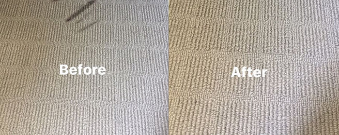  New Album of Best Carpet Cleaning Penrith 470 High Street - Photo 1 of 5