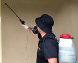 Control Pest Management, Pacific Pines