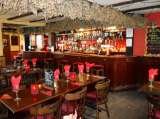 Hoodeners Horse, Ashford