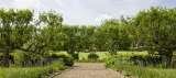 The Secret Garden, Ashford