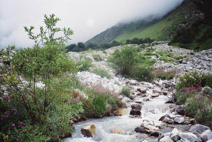  Profile Photos of Hemkund Sahib Yatra Vardhman Diamond Complex - Photo 2 of 10