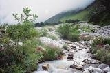 Hemkund Sahib Yatra, Paharganj