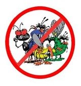 Pest Control Harlow, 30 Kerril Croft, Harlow, CM20 1TQ, 02036160417, http://www.pestcontrolharlow.com, Pest Control Harlow, Harlow
