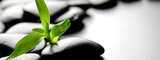 Muscle Body Therapy - Registered Massage Therapist Richmond Hill, Richmond Hill