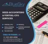 Accounting Company - BlueSky Accounting, Lake Charles