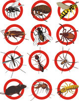 Pest Control Stanstead Abbotts, 120d Roydon Rd, Stanstead Abbotts, SG12 8HQ, 02036160456, http://www.pestcontrolstansteadabbotts.com, Pest Control Stanstead Abbotts, Stanstead Abbotts