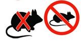 Pest Control Stanstead Abbotts, 120d Roydon Rd, Stanstead Abbotts, SG12 8HQ, 02036160456, http://www.pestcontrolstansteadabbotts.com, Pest Control Stanstead Abbotts, Stanstead Abbotts