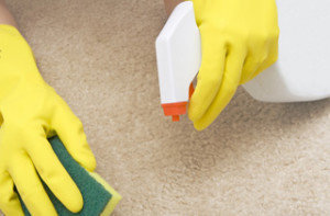  Profile Photos of Cleaning Services Cape Town 24 Canterbury Street, Woodstock - Photo 1 of 4