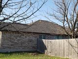 Roof Royale, Hutto