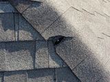 Roof Royale, Hutto