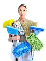  Upton Carpet Cleaners 25 Standard Rd 