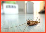 Pest Control Hallam, Hallam