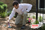 Adams Exterminating Company, Lewisville
