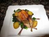 Graziano's Market - Bird Road, FL 3922 SW 92nd Ave 
