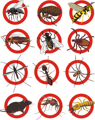 Pest Control Hertford, 25d Evron Place, Hertford, SG14 1PA, 02036160424, http://www.pestcontrolhertford.com Profile Photos of Pest Control Hertford 25d Evron Place - Photo 2 of 4