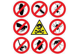 Pest Control Hertford, 25d Evron Place, Hertford, SG14 1PA, 02036160424, http://www.pestcontrolhertford.com Profile Photos of Pest Control Hertford 25d Evron Place - Photo 3 of 4
