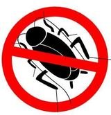 Pest Control Hertford, 25d Evron Place, Hertford, SG14 1PA, 02036160424, http://www.pestcontrolhertford.com, Pest Control Hertford, Hertford