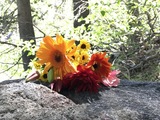 Considerate Cremation & Burial Services, St Catharines