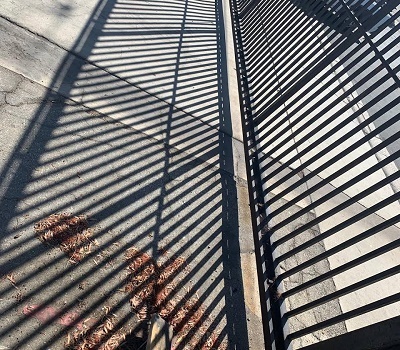  New Album of Driveways Automatic Gates Repairs Services Vancuver Wa 911 W 7th St - Photo 3 of 3