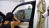 Vitacare Car Protection and Window Tinting, Burswood