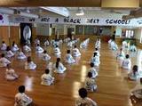 Traditional TaeKwon-Do Center Lutz, Lutz