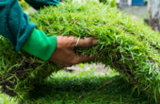  SGS Artificial Grass San Diego 5938 Chaumont Dr 