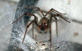  Profile Photos of Pest Control Berwick 1 - Photo 1 of 1