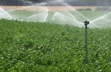 Cortez Pump & Sprinkler, LLC, Bradenton