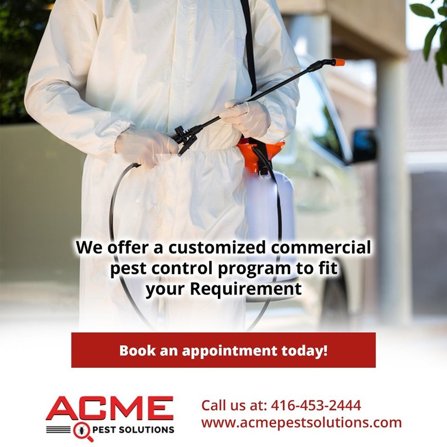  Pricelists of ACME Pest  Solutions 1244 Ellenton Crescent - Photo 2 of 3