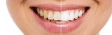 Dr. Jose J. Alvarez & Associates, North Miami Beach